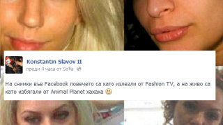 Коцето за колежките си: На живо са като от "Animal Planet"
