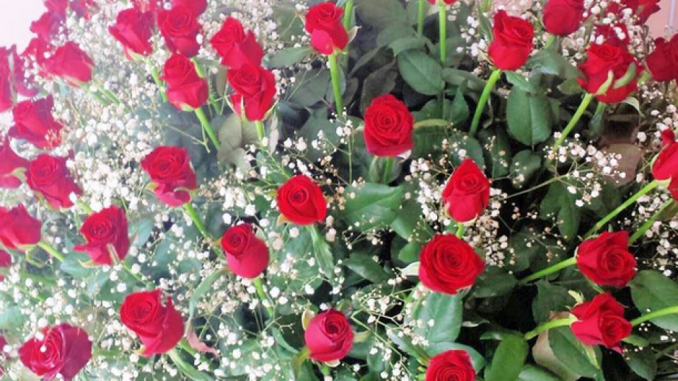 Звезделина Иванова с букет от 101 рози за рождения си ден (Снимка)