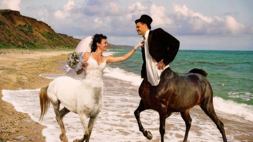Смешни сватбени снимки - вижте най-нелепите (Галерия)