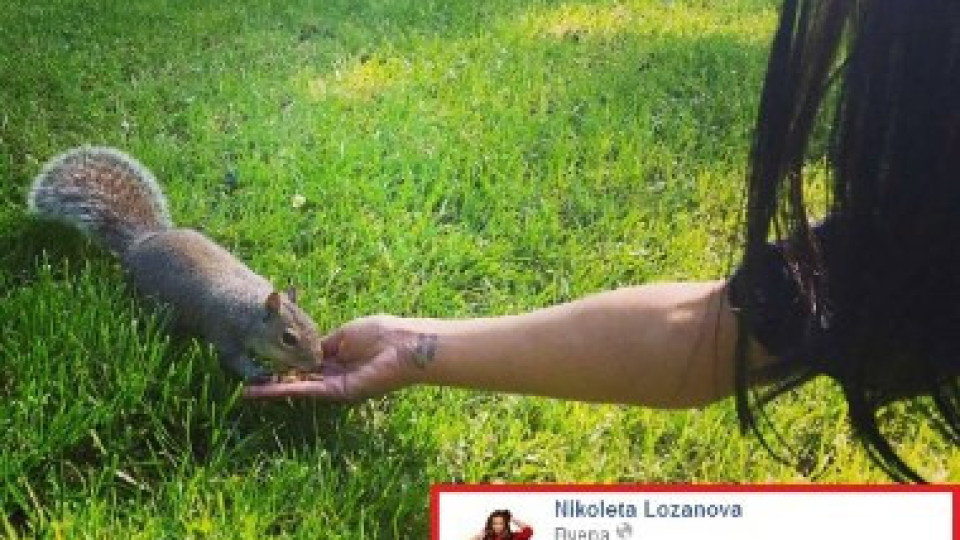 Николета Лозанова във Facebook: Не ме обичайте, животните ми стигат!