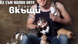 Валери Божинов си търси гадже с конкурс (Истерията по котетата продължава)