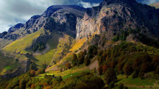 Ecologists stopped the affore station of 650 decares in Plovdiv