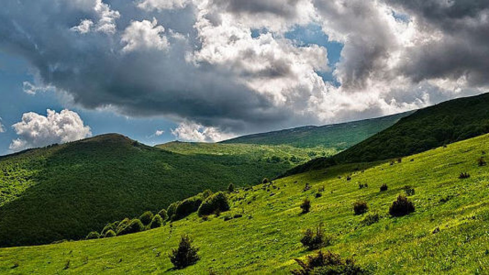 Contrera: The Greens put Sofia Regional Council, in the trap of the lifts Contrera: The Greens put Sofia Regional Council, in the trap of the lifts