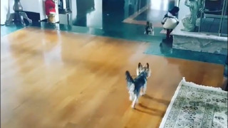Ето го коледният дом на Анелия (Вижте палата на певицата в Бояна)