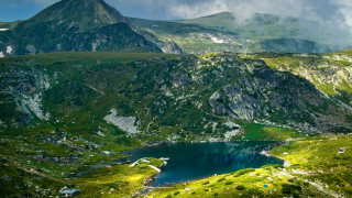 Ecologists cause more damages than the disasters, says Neno Dimov