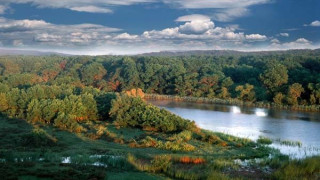 The court cut off environmentalists contesting the construction of a forest park next to the Rowing Base in Plovdiv