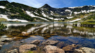 Total failure of party "environmentalists" from the lists of "Democratic Bulgaria"