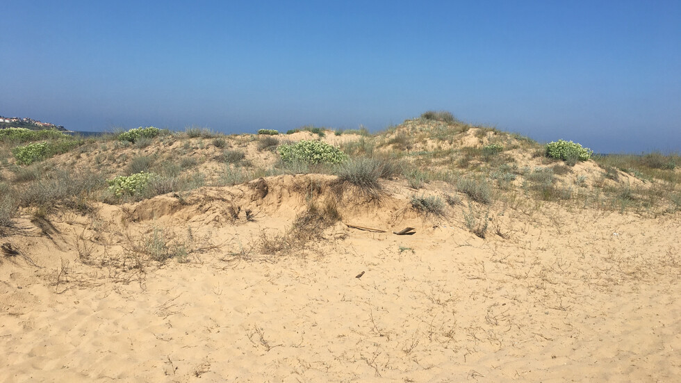 Environmentalists jumped on spongers from Green octopus around Hristo Ivanov and Atanasov for lies and fake news about construction on dunes