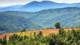 The “Greens” took one-third of the country's territory because of Natura!