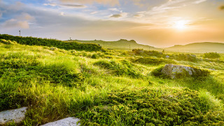 Greens and Rights use Vitosha as a money-box