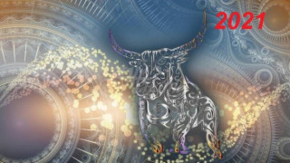 През 2021: Какво предрича китайския хороскоп за зодиите!(Част 1)