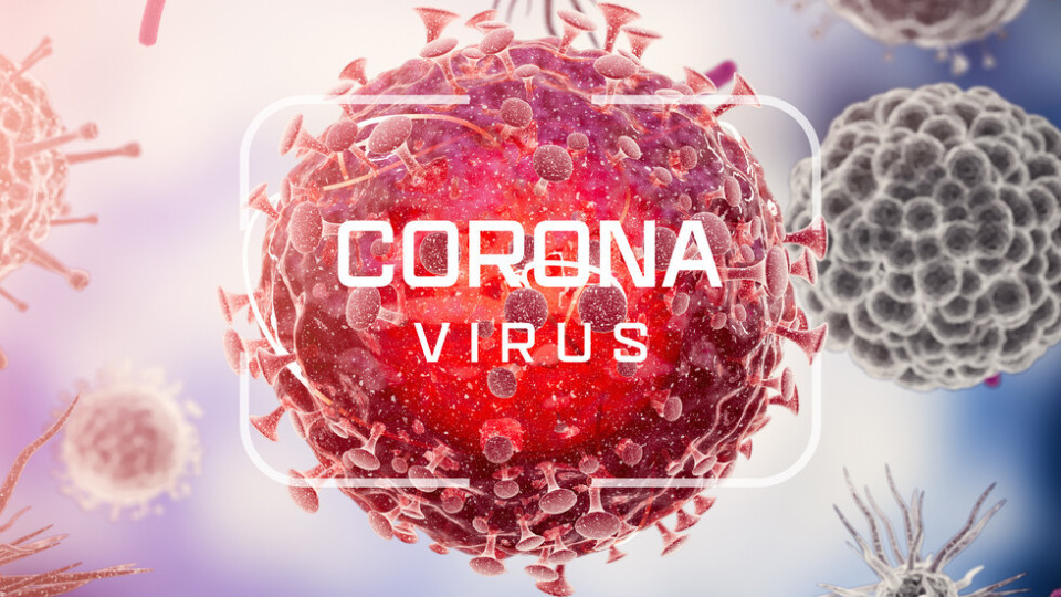 Последни данни за развитието на коронавируса в страната!