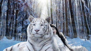 Всяка зодия има духовно животно!Провери твоето (Част 1)