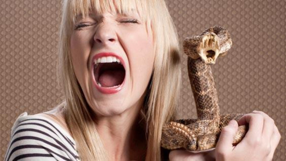 4 зодии: По-коварни от змия и напълно непредсказуеми