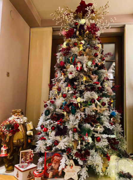 Камелия се похвали с приказна украса за Коледа (Вижте в какъв луксозен дом живее – Снимки)