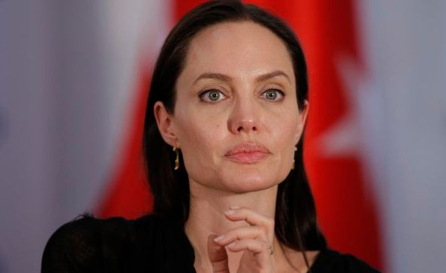 Анджелина Джоли гради научна кариера
