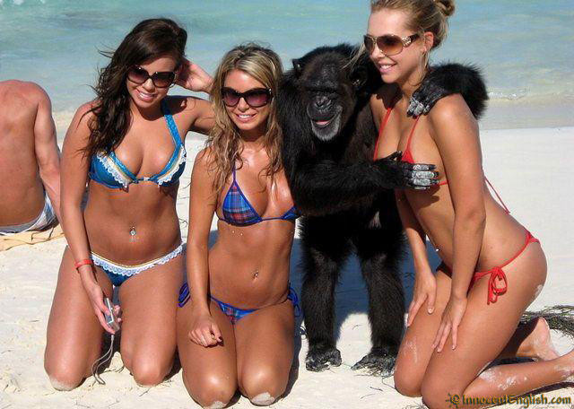 Тази маймуна знае за къде да хваща момичетата на плажа...