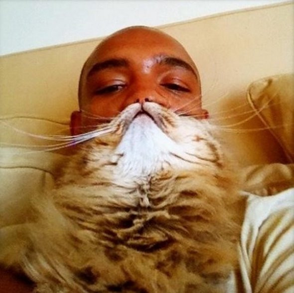 "Котко-брадите" станаха хит в интернет