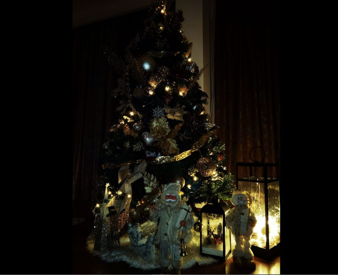Славея Сиракова с дом от приказките за Коледа (Дъщерята на Илиана Раева се шири в истински палат - Снимки) - Снимка 6
