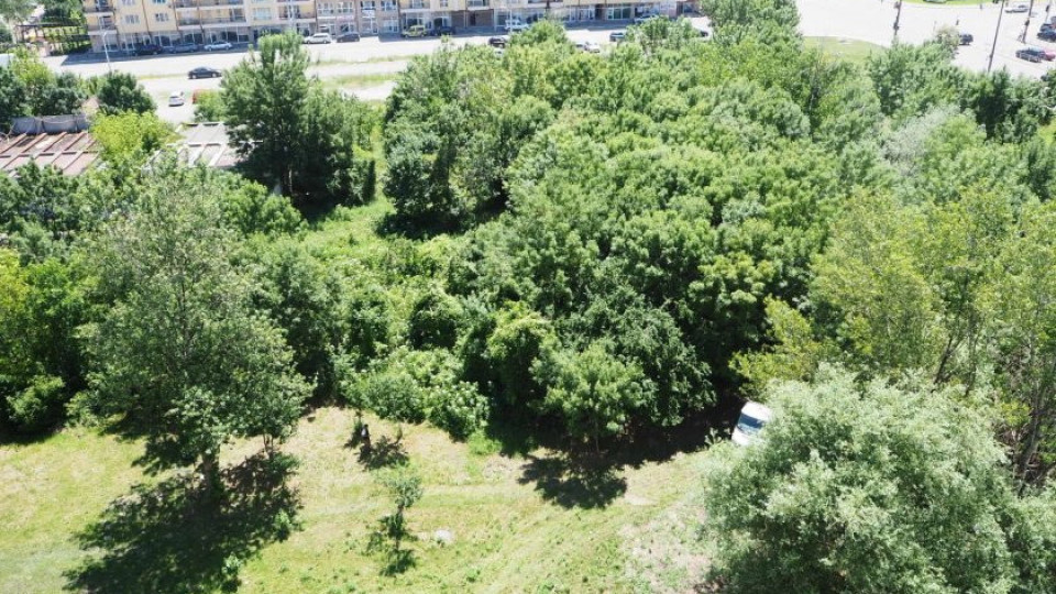 „Лидл” строи върху зелена площ в „Люлин”