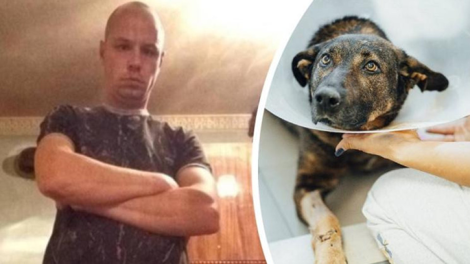1 година по-късно: Осакатилият кучето „Мечо“ влиза в съда
