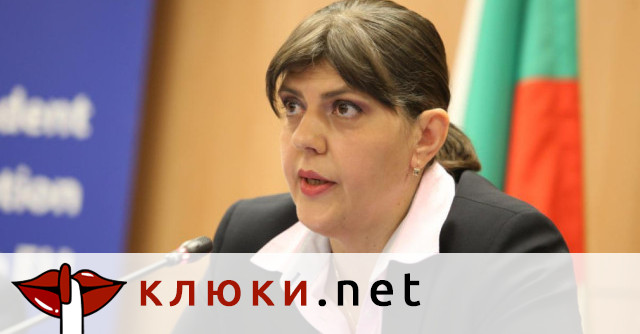 Българският офис на Лаура Кьовеши отчита бройката на участващите в
