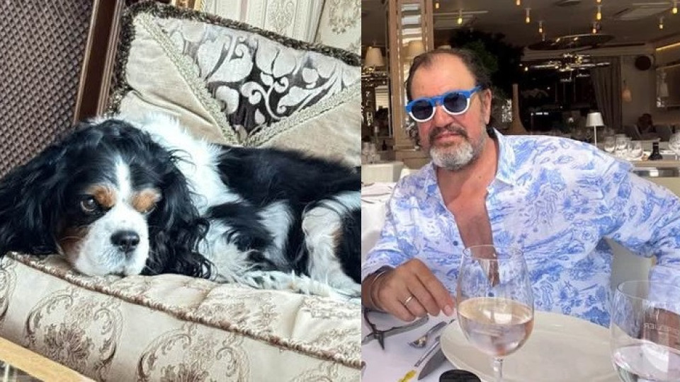 Добромир Гущеров зачеркна внучетата си, но пък обожава кучетата си