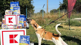 18 тона храна за кучетата в столичните приюти дари Kaufland за година и половина